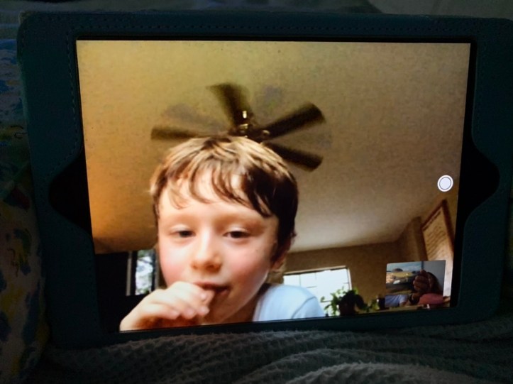 Max on FaceTime Apr 08, 2020 ©Felipe Adan Lerma