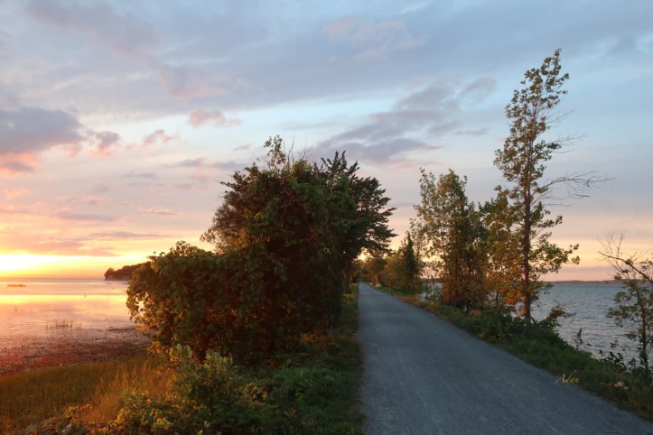 Island Line Trail Sunset via Colchester ©Felipe Adan Lerma https://fineartamerica.com/featured/island-line-trail-sunset-via-colchester-felipe-adan-lerma.html