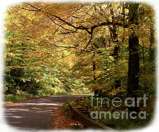 Mountain Road Stowe Vt Detail 2 ©Felipe Adan Lerma https://fineartamerica.com/featured/mountain-road-stowe-vt-detail-2-felipe-adan-lerma.html