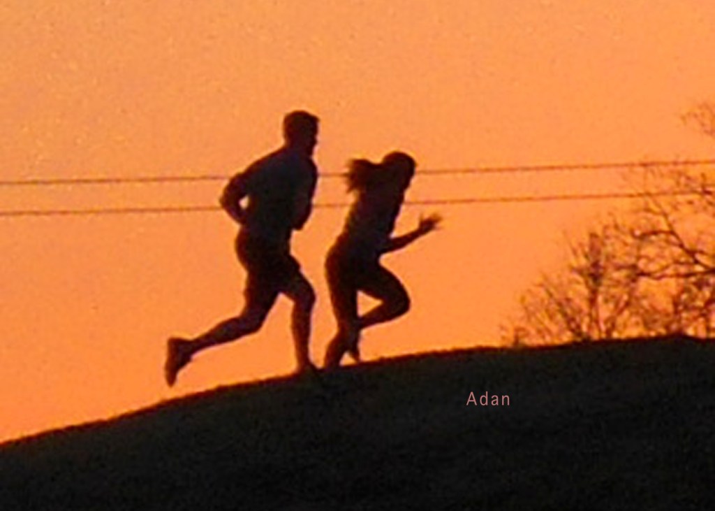 Aging Gracefully – During Covid-19 – SilverSneakers Stability Class at Gold’s Gym&nbsp;Austin