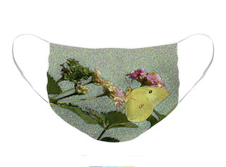 Face Mask Floral Butterfly Digital ©Felipe Adan Lerma https://felipeadan-lerma.pixels.com/featured/southern-dogface-butterfly-feasting-on-december-lantanas-austin-texas-v1-panorama-felipe-adan-lerma.html?product=face-mask