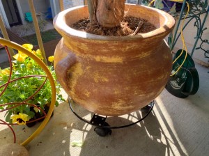 Iron Heavy Duty Plant Stand Caddy with Wheels https://amzn.to/2KbZD6s