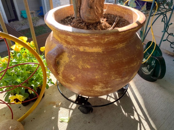 Iron Heavy Duty Plant Stand Caddy with Wheels https://amzn.to/2KbZD6s