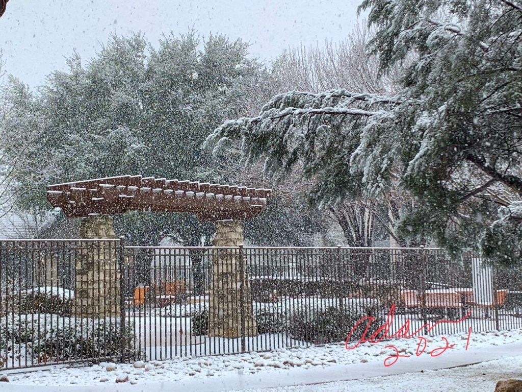 January 10, 2021 – Snow in Austin! Ain’t That Like a Snowball’s Chance in, uh, You Know&nbsp;😊