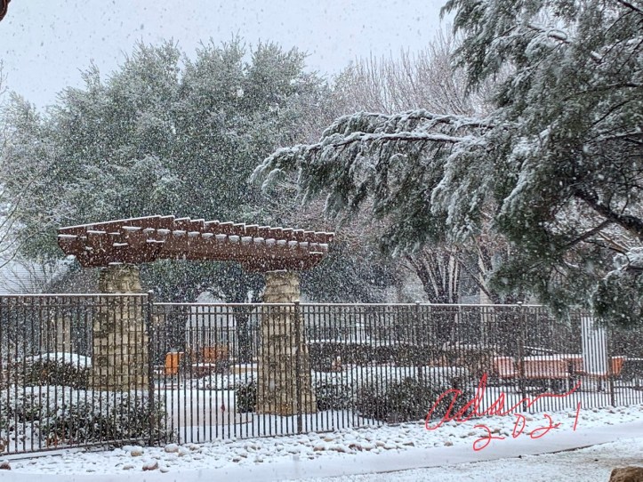 Snow! Β©Felipe Adan Lerma 01.10.21 Austin