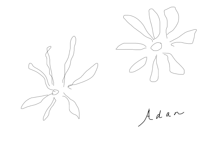 Adan's flowers digital pen and ink ©Felipe Adan Lerma 01.26.21