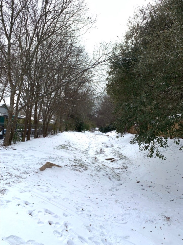 Austin winter storm pictures 02.16.21 ©Felipe Adan Lerma