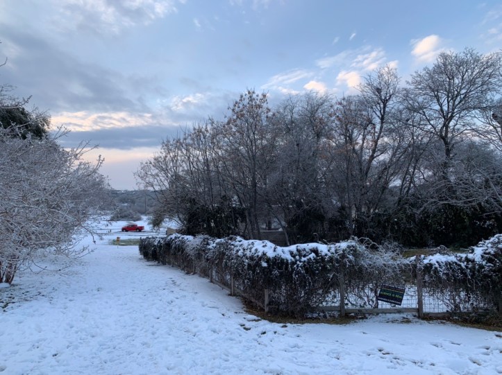 Austin Freeze Feb 2021 ©Felipe Adan Lerma