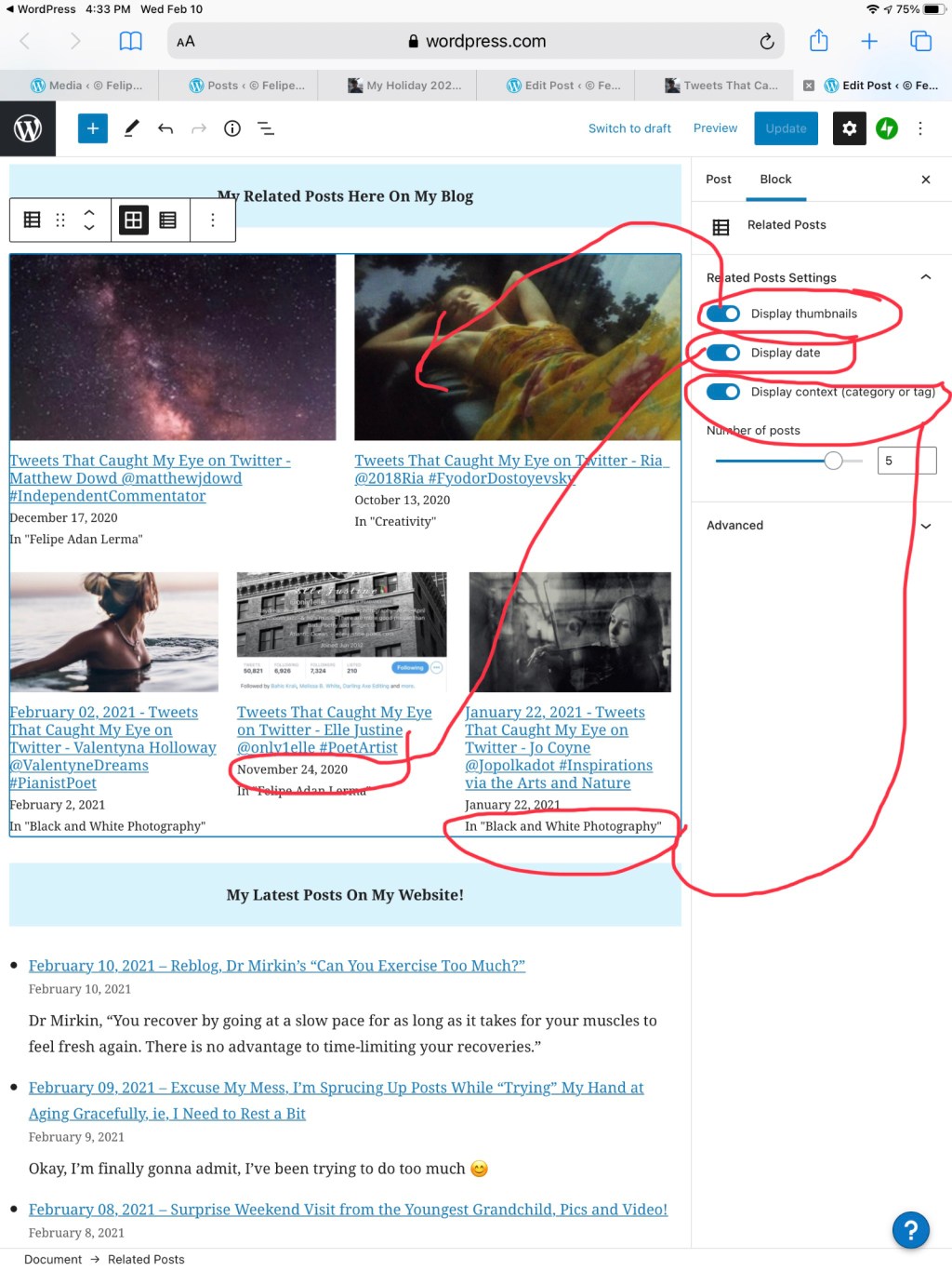 Related Posts feature on Adan's WordPress Site 02.11.21 https://felipeadanlerma.com/