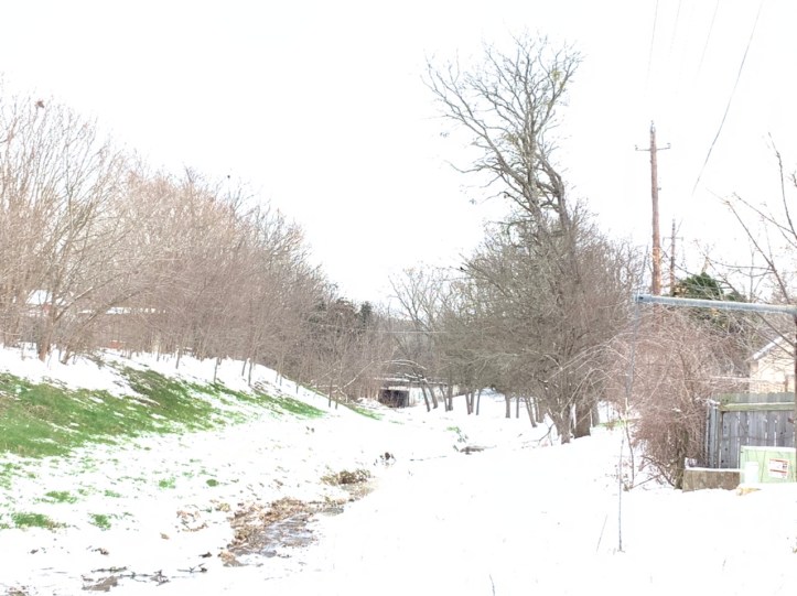 Austin winter storm pictures 02.16.21 ©Felipe Adan Lerma