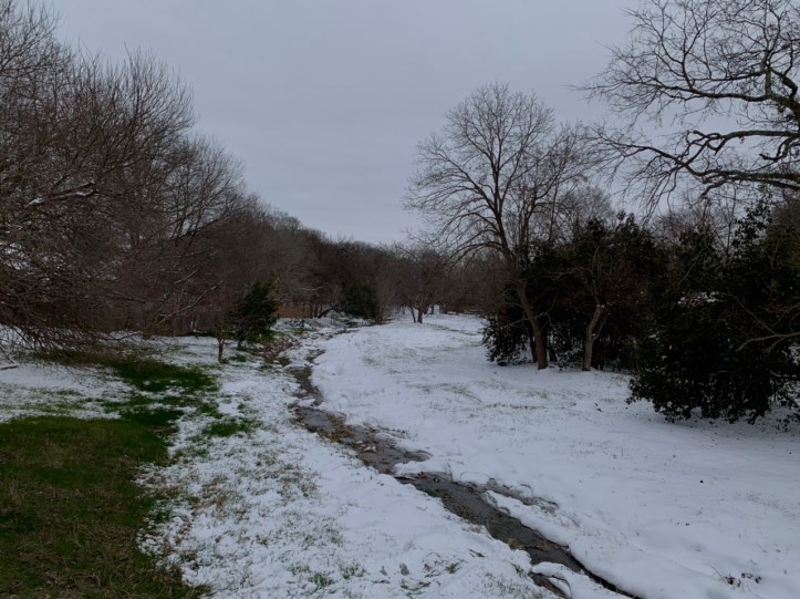 Austin winter storm pictures 02.16.21 ©Felipe Adan Lerma