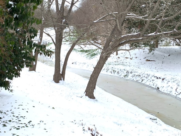 Austin winter storm pictures 02.16.21 ©Felipe Adan Lerma