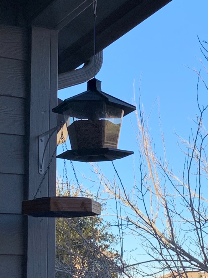 Newly filled bird feeder and bath @FelipeAdanLerma Austin winter storm Feb 2021