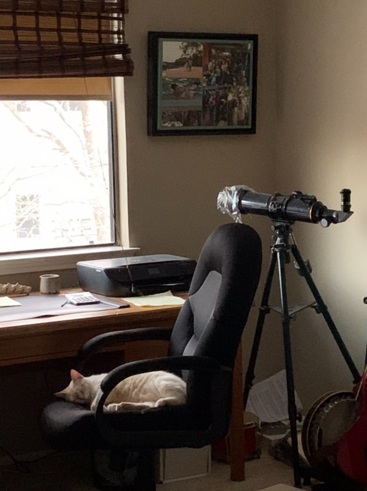 Austin Freeze Feb 2021 ©Felipe Adan Lerma