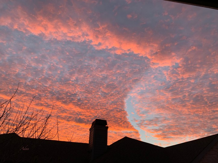 Glimpses - Valentines Red Austin ©Felipe Adan Lerma https://felipeadan-lerma.pixels.com/featured/glimpses-valentines-red-austin-felipe-adan-lerma.html