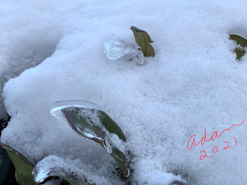 February 19, 2021 – Austin Winter Storm, The Light in the&nbsp;Cold