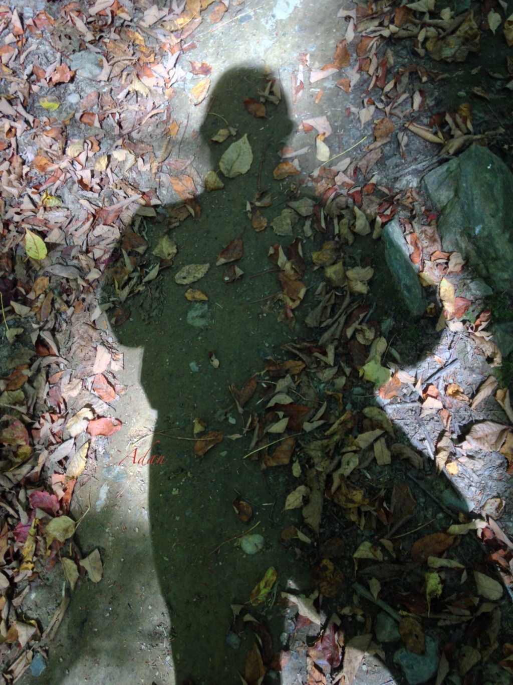 March 12, 2021 – Interesting Tweets This&nbsp;Morning