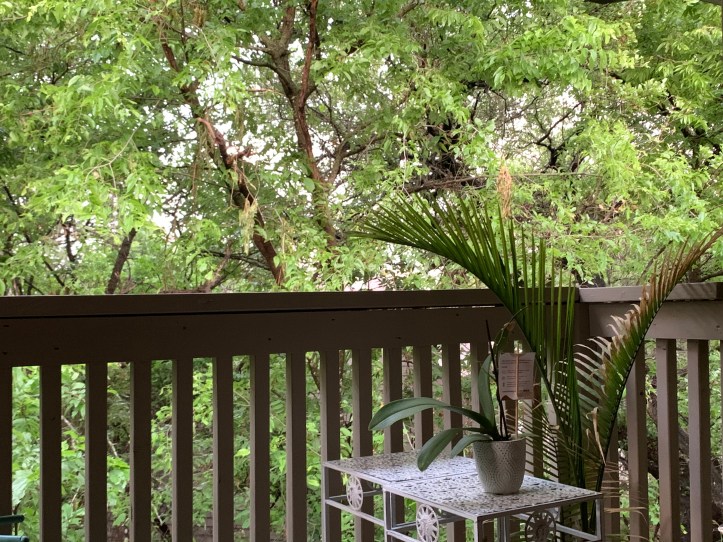 Resting, nearly finished moving 04.23.21