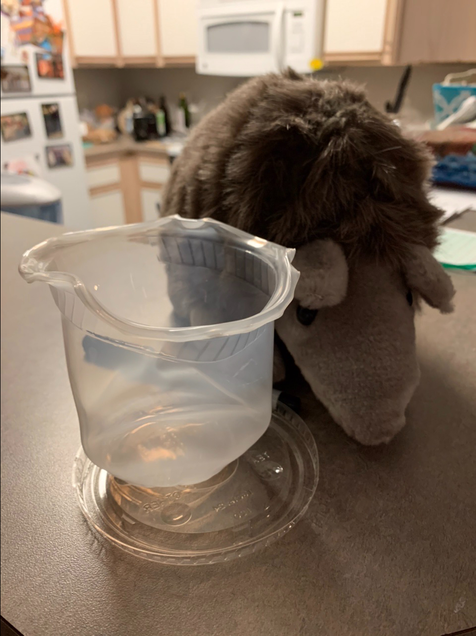 April 14, 2021 – The Unintended&nbsp;Sculpture