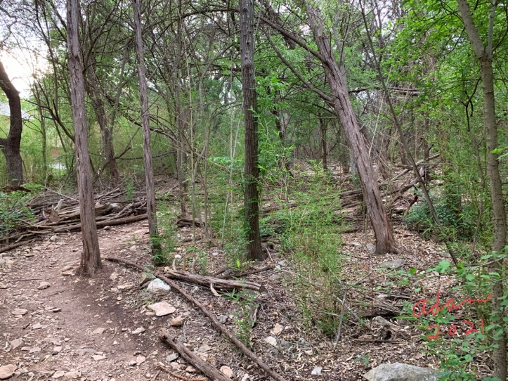 Spyglass Barton Creek Greenbelt entrance 04.26.21 ©Felipe Adan Lerma