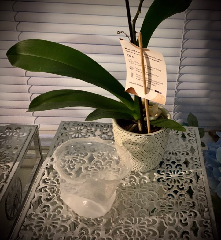 The Unintended Sculpture ©Felipe Adan Lerma