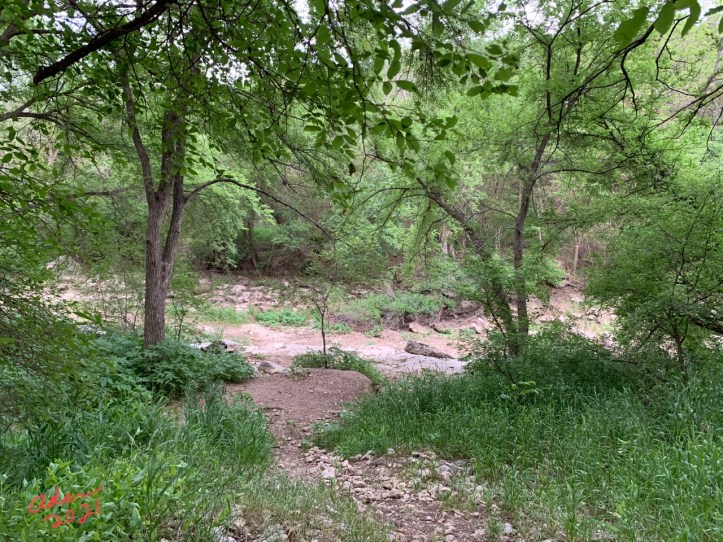 Spyglass Barton Creek Greenbelt entrance 04.26.21 ©Felipe Adan Lerma