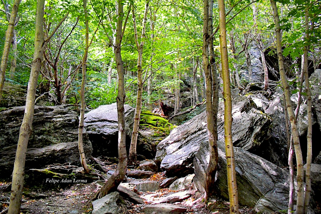April 24, 2021 – Rocks at Smugglers Notch SOLD&nbsp;@FineArtAmerica