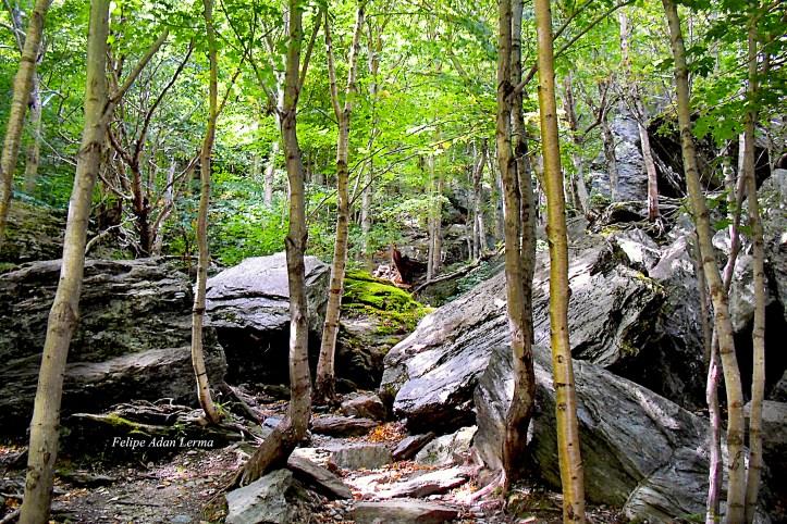Rocks at Smugglers Notch ©Felipe Adan Lerma https://felipeadan-lerma.pixels.com/featured/image-included-in-queen-the-novel-rocks-at-smugglers-notch-enhanced-felipe-adan-lerma.html