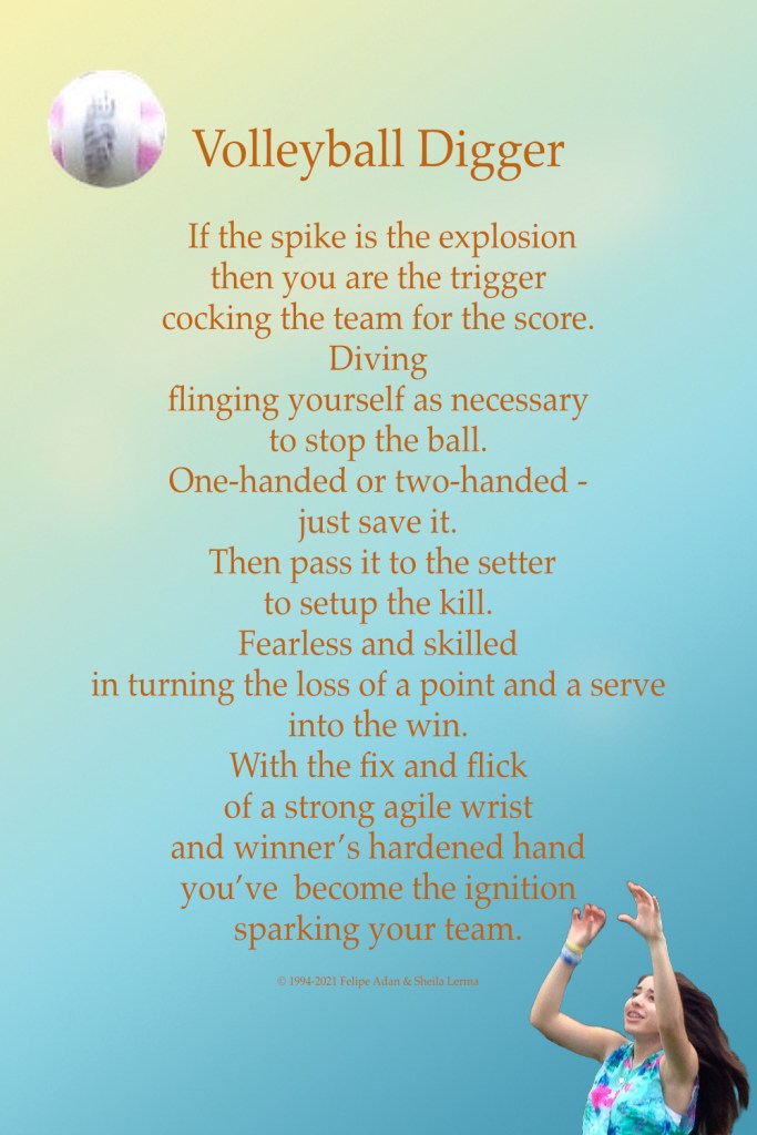 Volleyball Digger Poster ©Felipe Adan Lerma https://felipeadan-lerma.pixels.com/featured/volleyball-digger-poster-felipe-adan-lerma.html