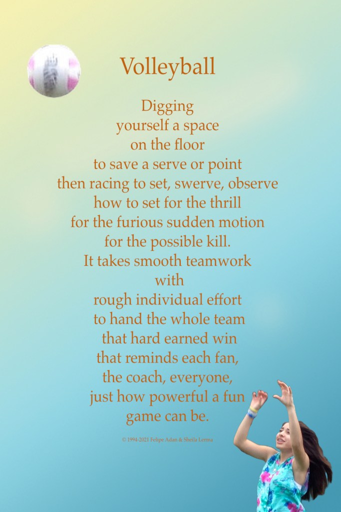 Volleyball Poster ©Felipe Adan Lerma https://felipeadan-lerma.pixels.com/featured/volleyball-poster-felipe-adan-lerma.html