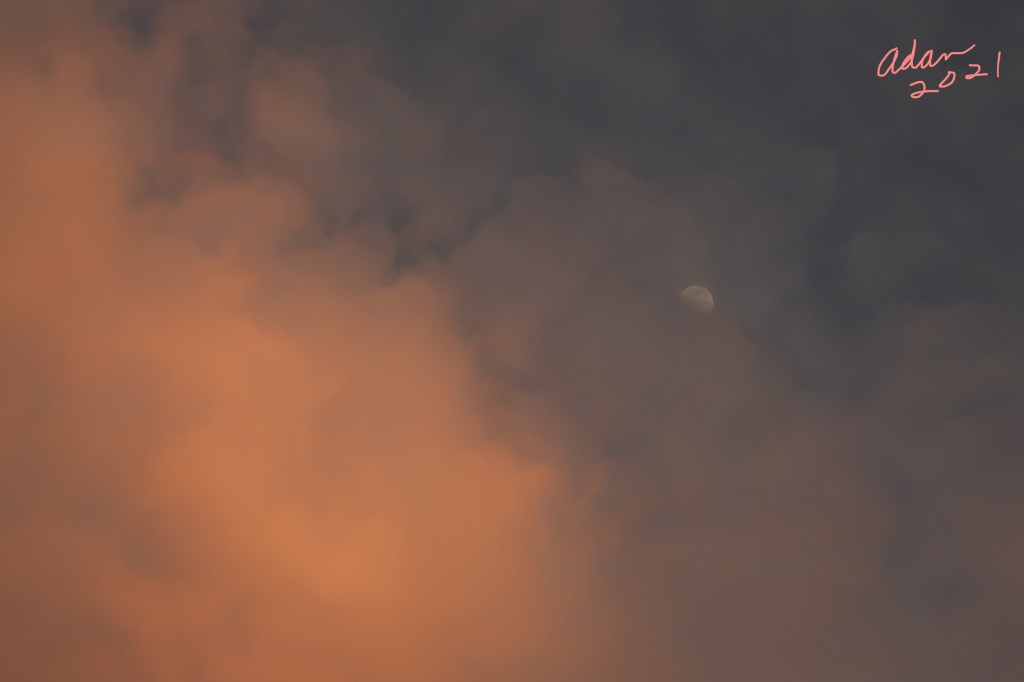 May 22, 2021 – Random (sorta) Pic of the Day, Waxing Moon at Sunset