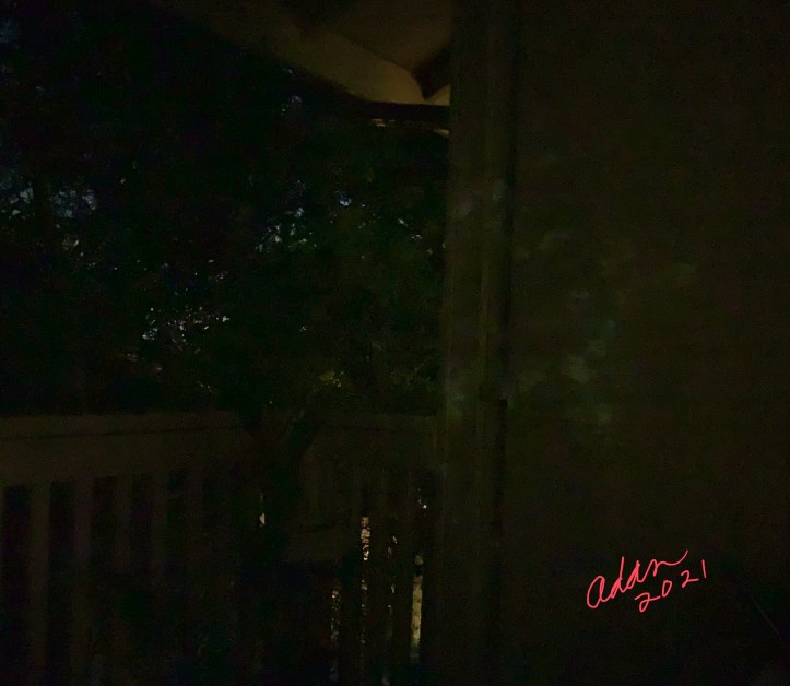 Random (sorta) Pic of the Day 05.08.21 ©Felipe Adan Lerma Filtered Light