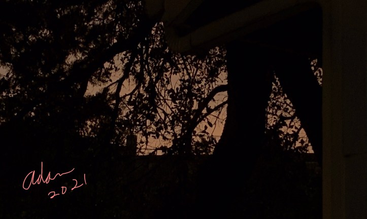 Sunset Silhouette After the Rain ©Felipe Adan Lerma 05.18.21 Austin Texas