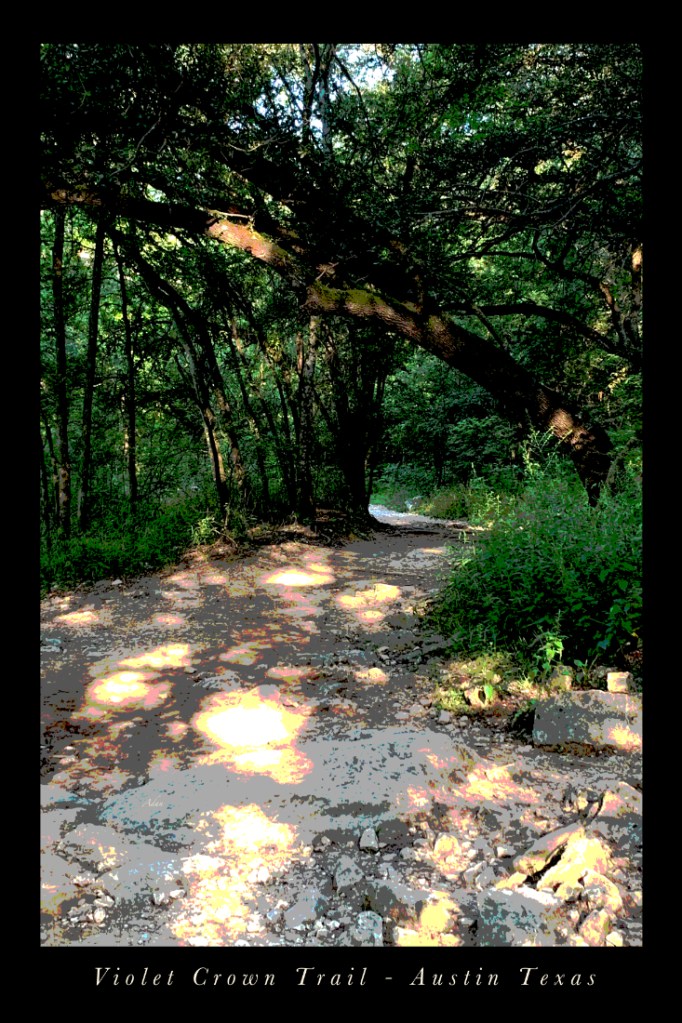 Violet Crown Trail Austin Texas Digital Art Poster ©Felipe Adan Lerma https://felipeadan-lerma.pixels.com/featured/violet-crown-trail-morning-felipe-adan-lerma.html