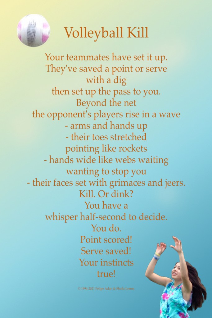 Volleyball Kill Poster https://felipeadan-lerma.pixels.com/featured/volleyball-dink-poster-felipe-adan-lerma.html