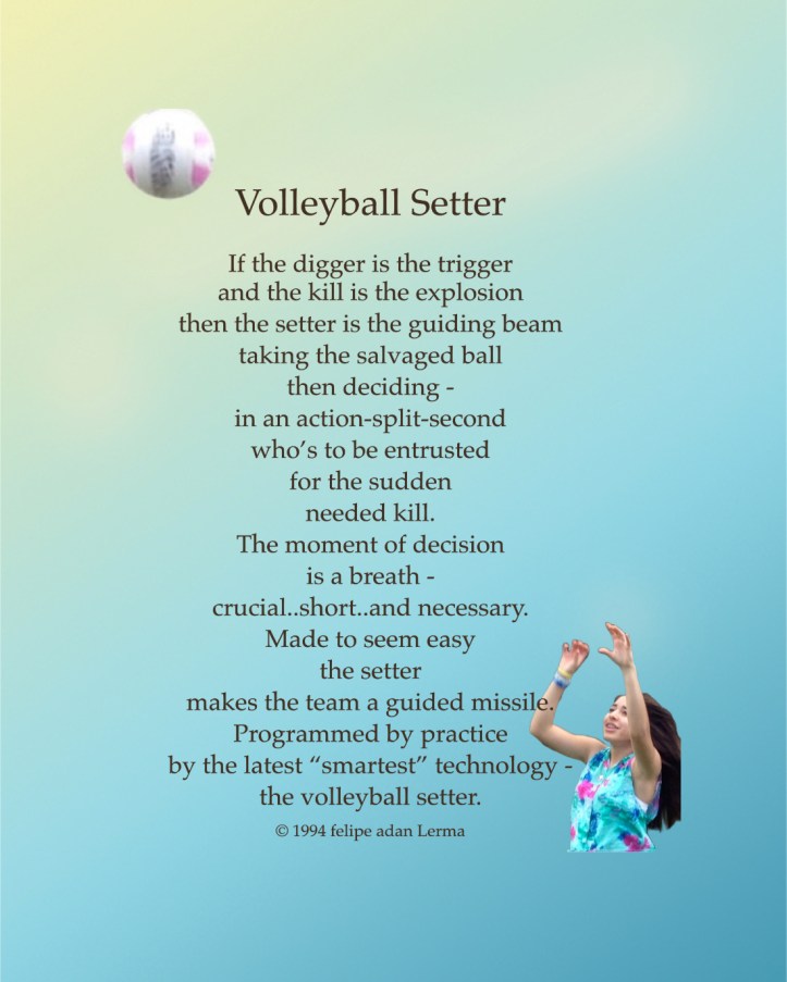 Volleyball Setter Poster 8x10 ©Felipe Adan Lerma