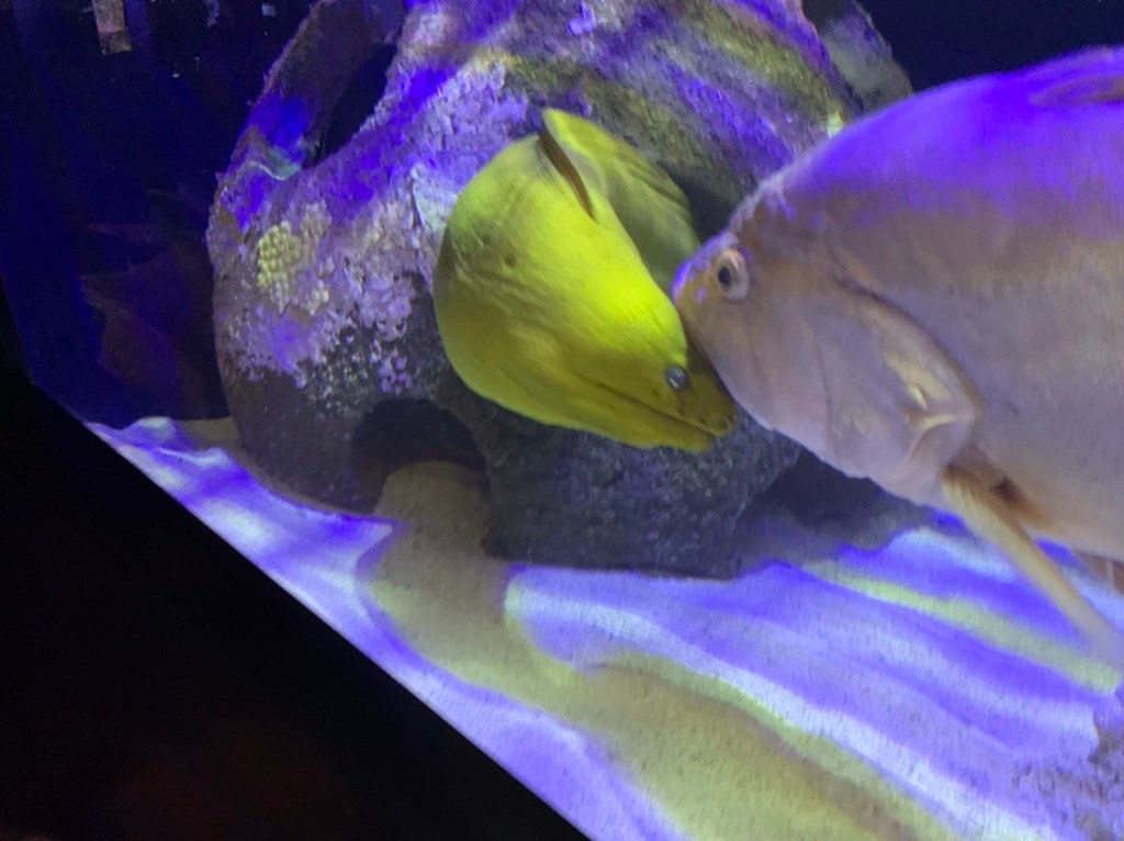 July 17, 2021 – 1st Trip in Over 3&nbsp;Years