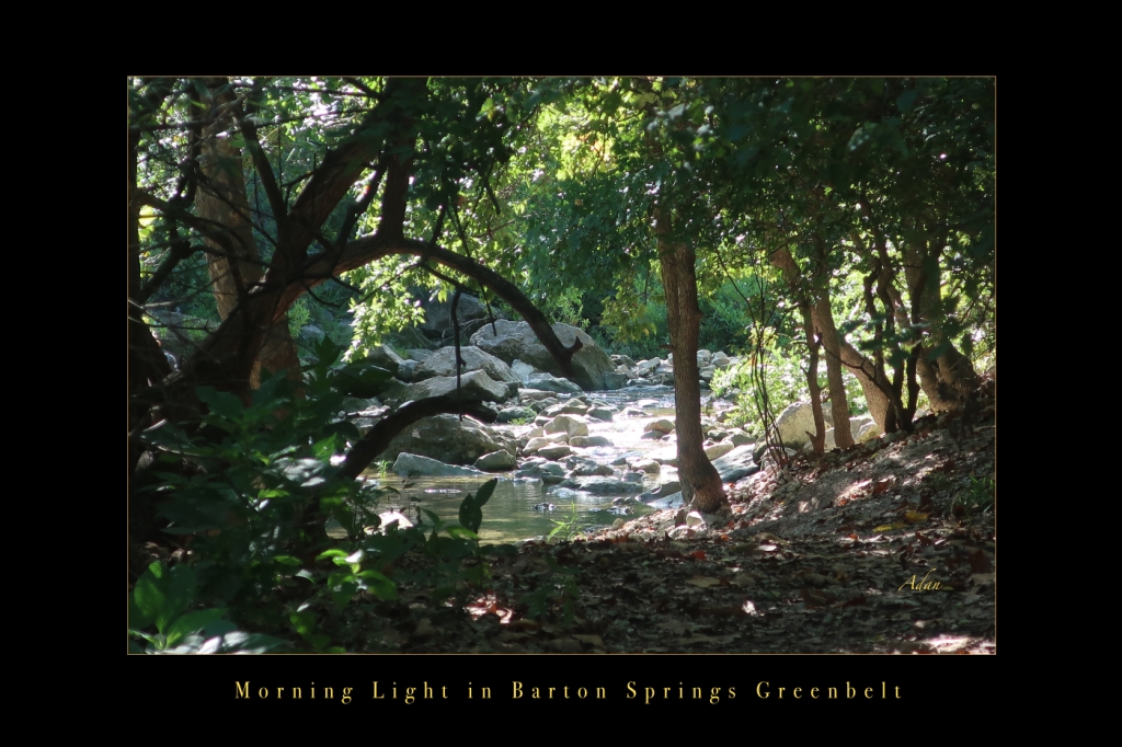 June 27, 2022 – My Most Viewed Image this Past Week @FineArtAmerica, “Morning Light in Barton Springs Greenbelt, Austin Poster” ( circa 2021 ) #AustinTexas #AustinPhotography