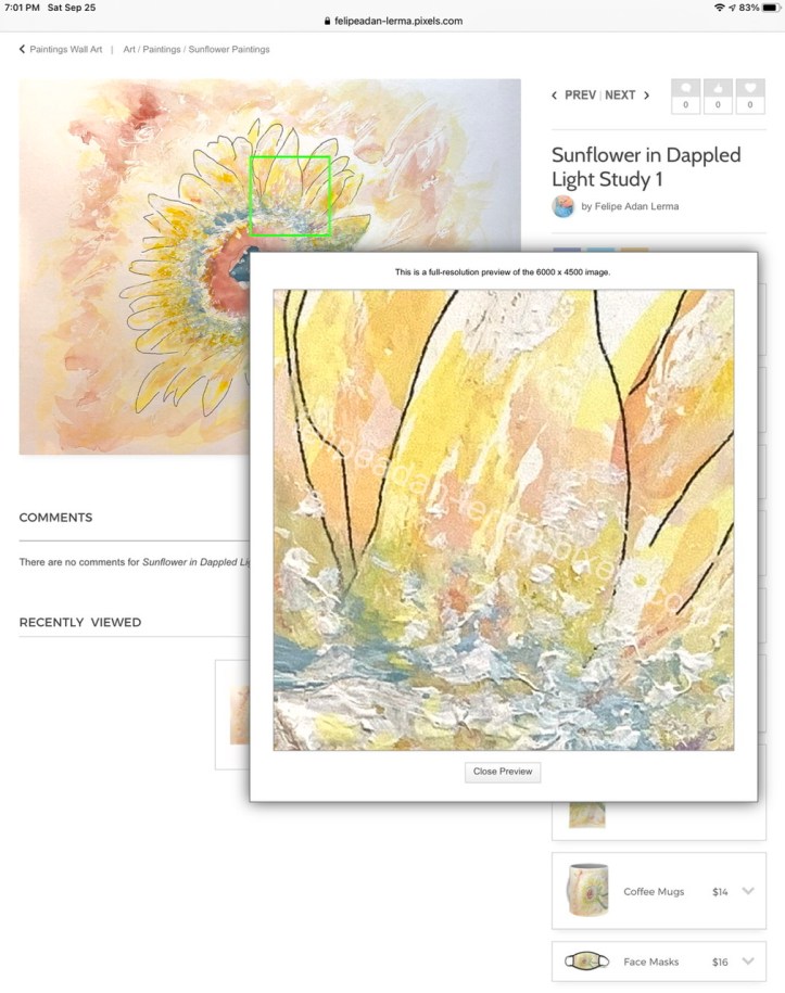 Detail, Sunflower in Dappled Light Study 1 ©Felipe Adan Lerma https://felipeadan-lerma.pixels.com/featured/sunflower-in-dappled-light-study-1-felipe-adan-lerma.html