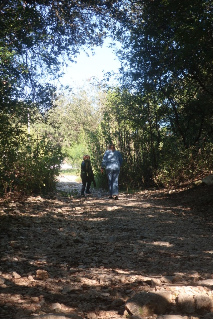 A day with Max Oct 16, 2021 ©Felipe Adan Lerma