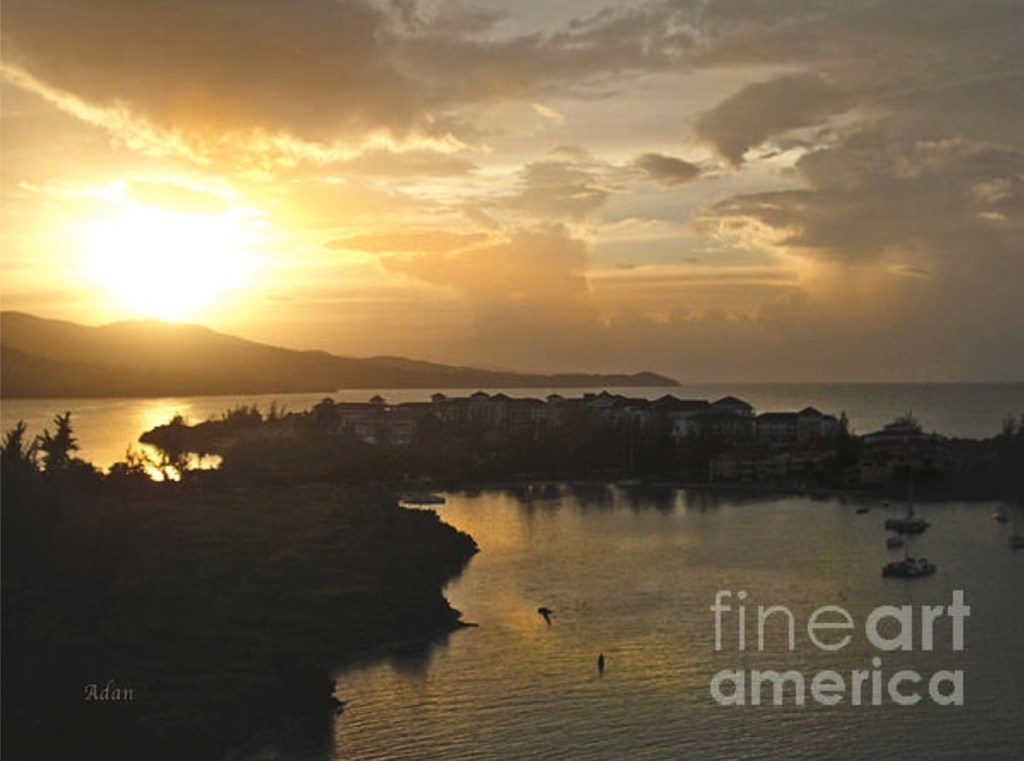 November 21, 2021 – Funny Thing Happened with Some of My Most Viewed Images on Fine Art America : I’d Never Posted Them Here on My&nbsp;Site!