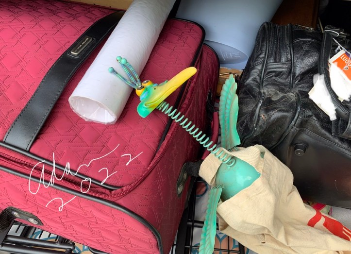 My birthday bird from a decade ago, packed and ready to join us in our new place β€οΈ π June 16, 2022