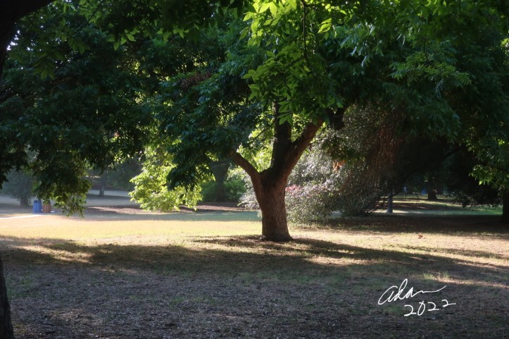 Park area along Lady Bird Lake, Austin Texas ©Felipe Adan Lerma