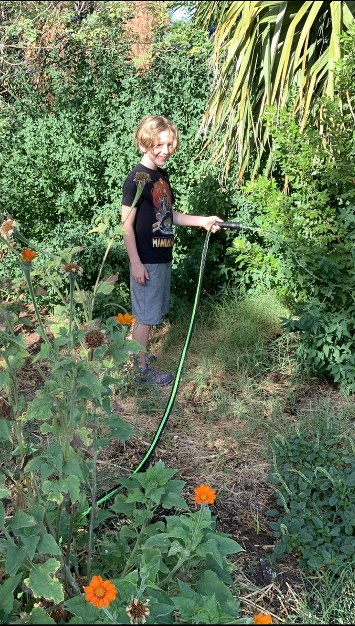 August 09, 2022 – Revisiting #FestivalBeachFoodForest with Max the 9-Year Old