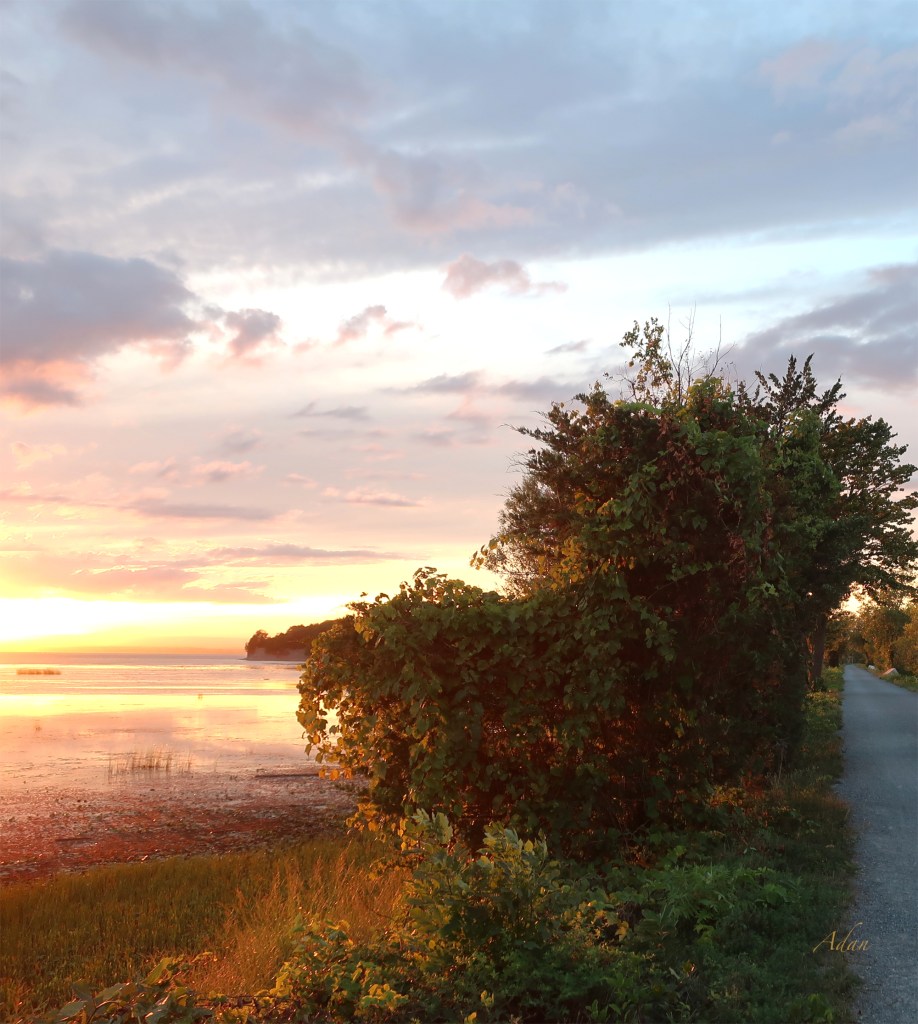 Island Line Trail Study 1 2026 - https://www.saatchiart.com/print/Photography-Island-Line-Trail-Sunset-via-Colchester-Vertical-2017/2369095/13503899/view