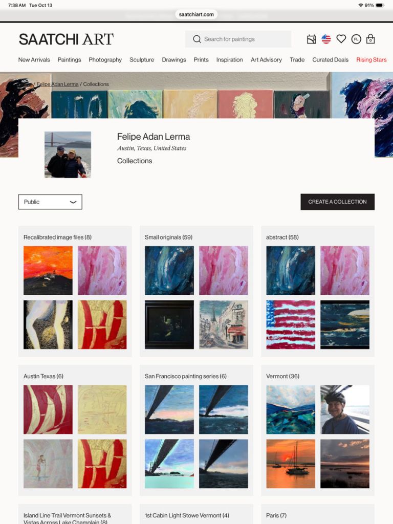 Adan's image collections @SaatchiArt