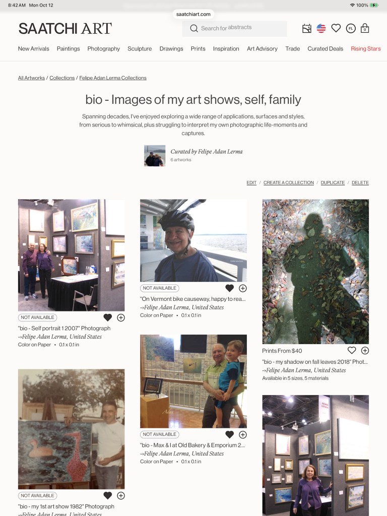 screenshot of self portrait pg at Saatchi